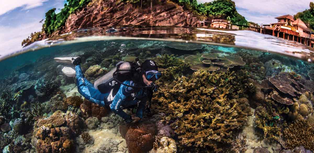 The-Islander-World Reef Day-june-2023-4